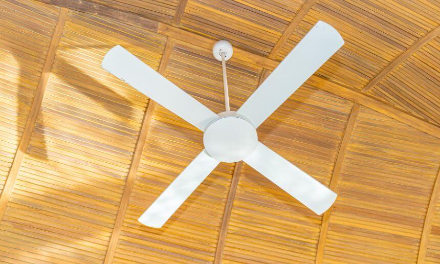 Wood ceiling with white fan.