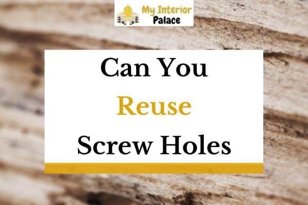 Can You Reuse Screw Holes In Depth Guide My Interior Palace