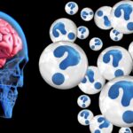 Neurological Insights: Opioids Utilize The Same Receptors In The Brain As