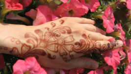 tattoo:_jdbkd8u2hk= easy mehndi design