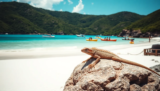 Island Name Ponadiza: Discover the Hidden Gem of the Mediterranean Bliss