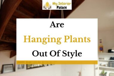 Are Hanging Plants Out Of Style In 2023?