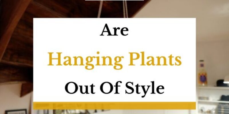 Are Hanging Plants Out Of Style In 2023?
