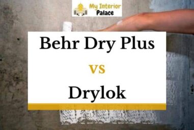 Behr Dry Plus vs Drylok – What’s the Difference?