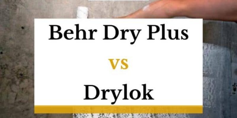 Behr Dry Plus vs Drylok – What’s the Difference?