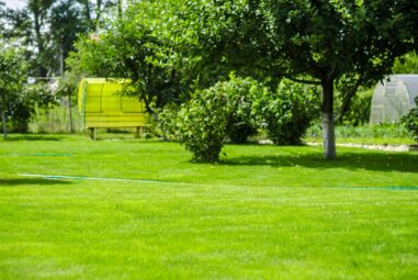 Designing the Perfect Backyard for Your Post-Wedding Celebrations