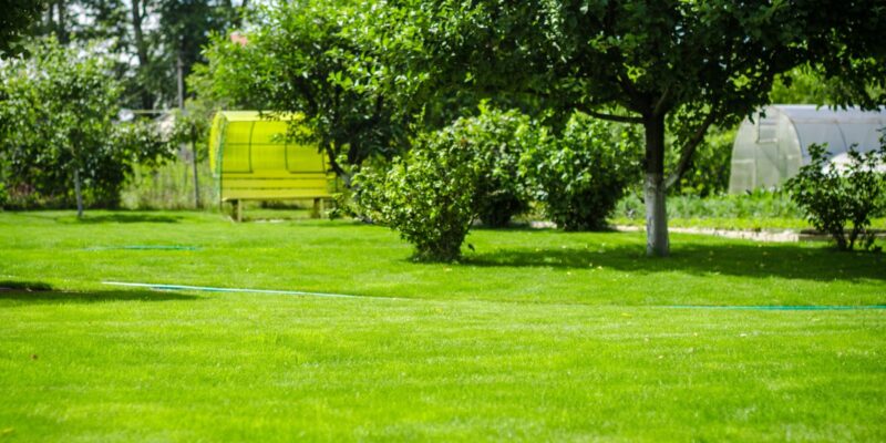 Designing the Perfect Backyard for Your Post-Wedding Celebrations