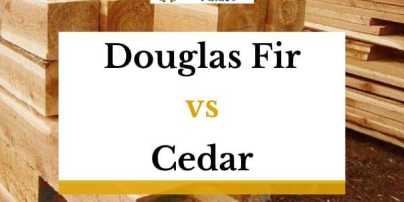 Douglas Fir Vs Cedar (Interior, Exterior, Cost)
