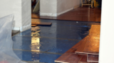 Effective Strategies for Water Damage Restoration in Dallas Homes