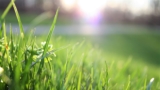 How to Care For Your Artificial Grass This Summer