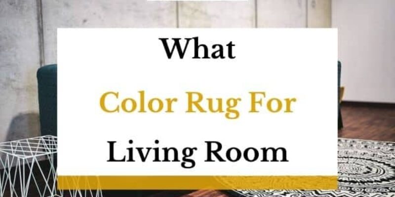 What Color Rug For Living Room? (And Should It Be Lighter Or Darker?)