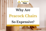 Why Are Peacock Chairs So Expensive? (Answered in Detail)