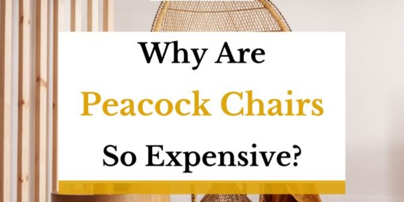 Why Are Peacock Chairs So Expensive?