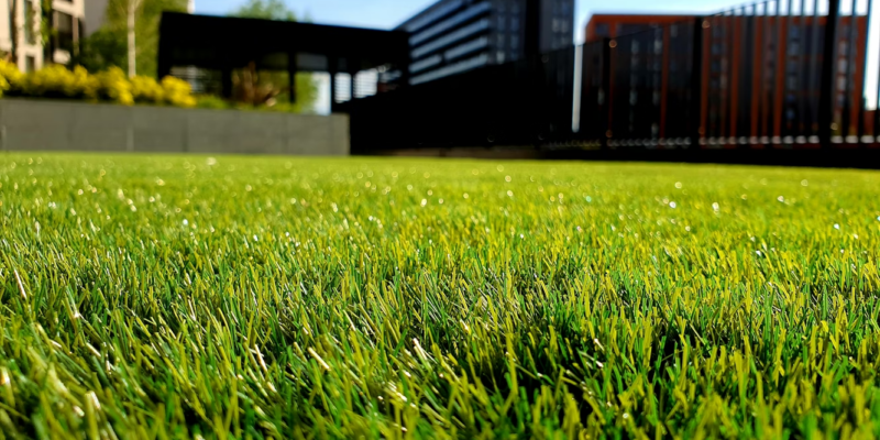 Your Lawn Is Not That Complicated — Lawn Care 101