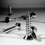 Why Do Professionals Swear by These Wood Screws for Every Project?