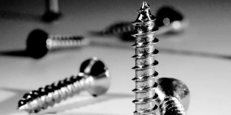 Why Do Professionals Swear by These Wood Screws for Every Project?