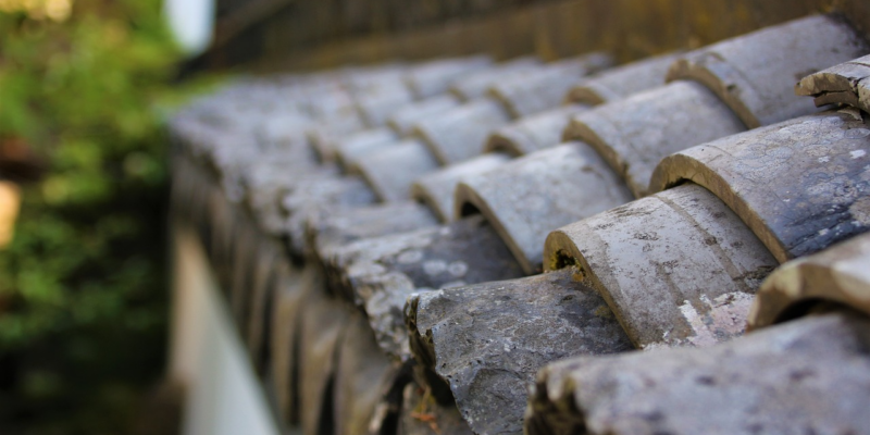 Repair or Replace? Making the Right Roofing Decision