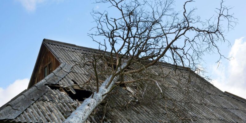 Understanding the Impact of Storm Damage on Roofs