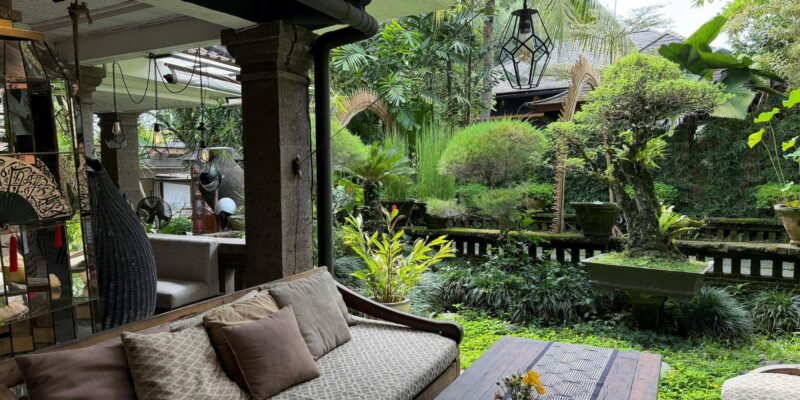 The Practical Advantages of Faux Greenery in Homes and Professional Spaces