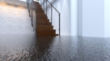 Your Basement Flooded. You Have About 48 Hours Before It Gets
Worse.