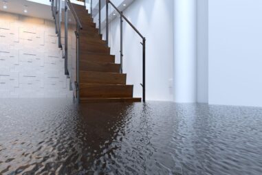 Your Basement Flooded. You Have About 48 Hours Before It Gets
Worse.