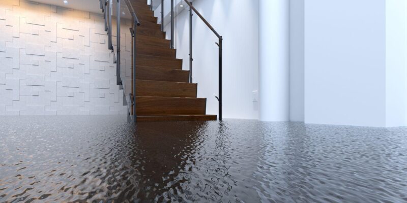 Your Basement Flooded. You Have About 48 Hours Before It Gets
Worse.