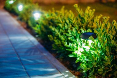 7 Garden Bed Lighting Ideas and Safety Tips