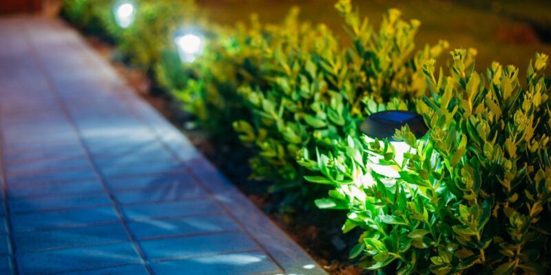 7 Garden Bed Lighting Ideas and Safety Tips