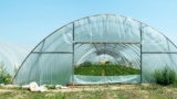 Greenhouse Kits: Gardening On The Go For Small Spaces