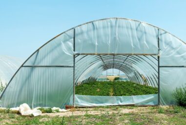 Greenhouse Kits: Gardening On The Go For Small Spaces