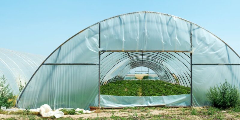 Greenhouse Kits: Gardening On The Go For Small Spaces