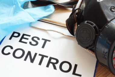 Orlando’s Pest Control Experts: Your Trusted Partners for a Pest-Free Residence