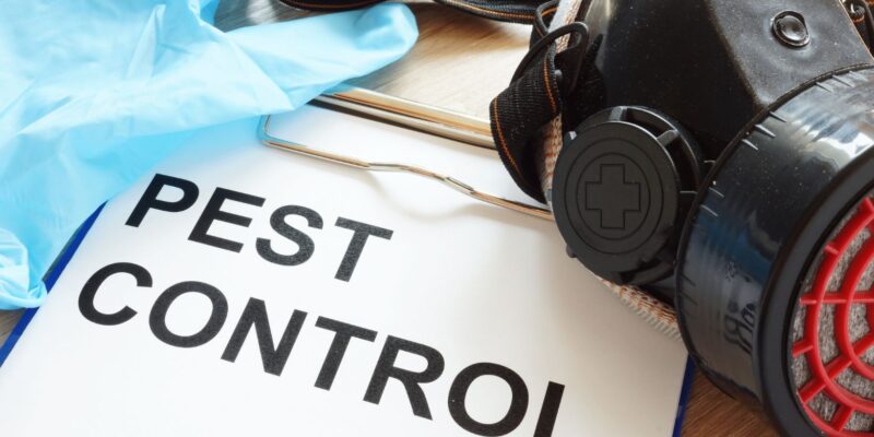 Orlando’s Pest Control Experts: Your Trusted Partners for a Pest-Free Residence
