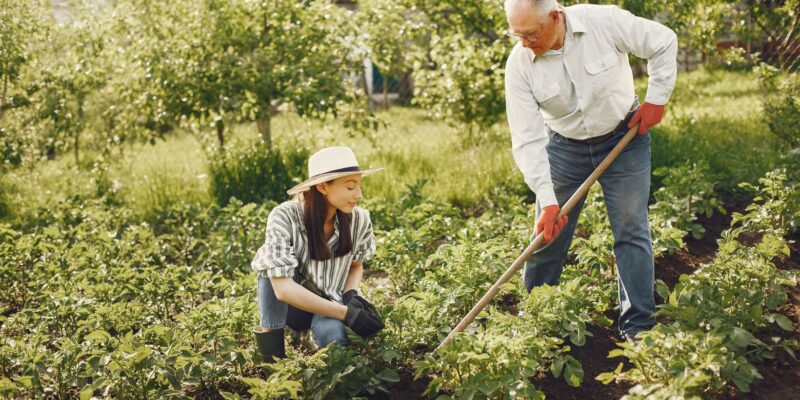 Container Gardening Tips for Growing Your Favourites