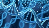 Can You Correctly Label Various Parts of a DNA Molecule? Mastering DNA Labeling and Correctly Identifying Its Essential Parts