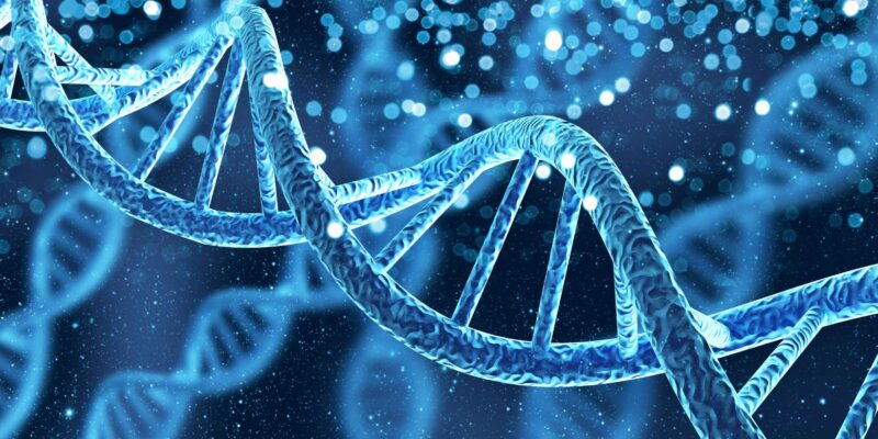 Can You Correctly Label Various Parts of a DNA Molecule? Mastering DNA Labeling and Correctly Identifying Its Essential Parts