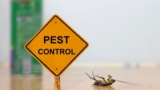 Pest Control: 6 Tips for Hiring the Right Commercial Exterminator