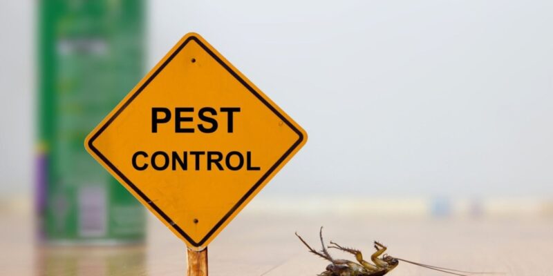 Pest Control: 6 Tips for Hiring the Right Commercial Exterminator