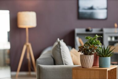 Unique Indoor Plant Design Trends to Elevate Your Living Room
