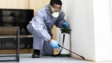 Protect Your Home From Pests With Professional Commercial Extermination